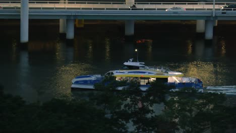 brisbane citycat on the river, night