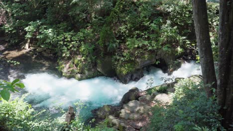 Slow-motion-of-a-river-of-crystal-clear-water-with-many-trees