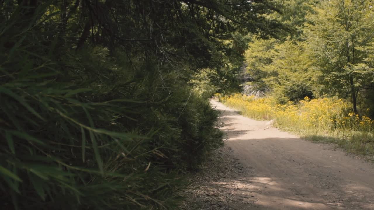 movimento scorrevole nella natura da utilizzare come transizione