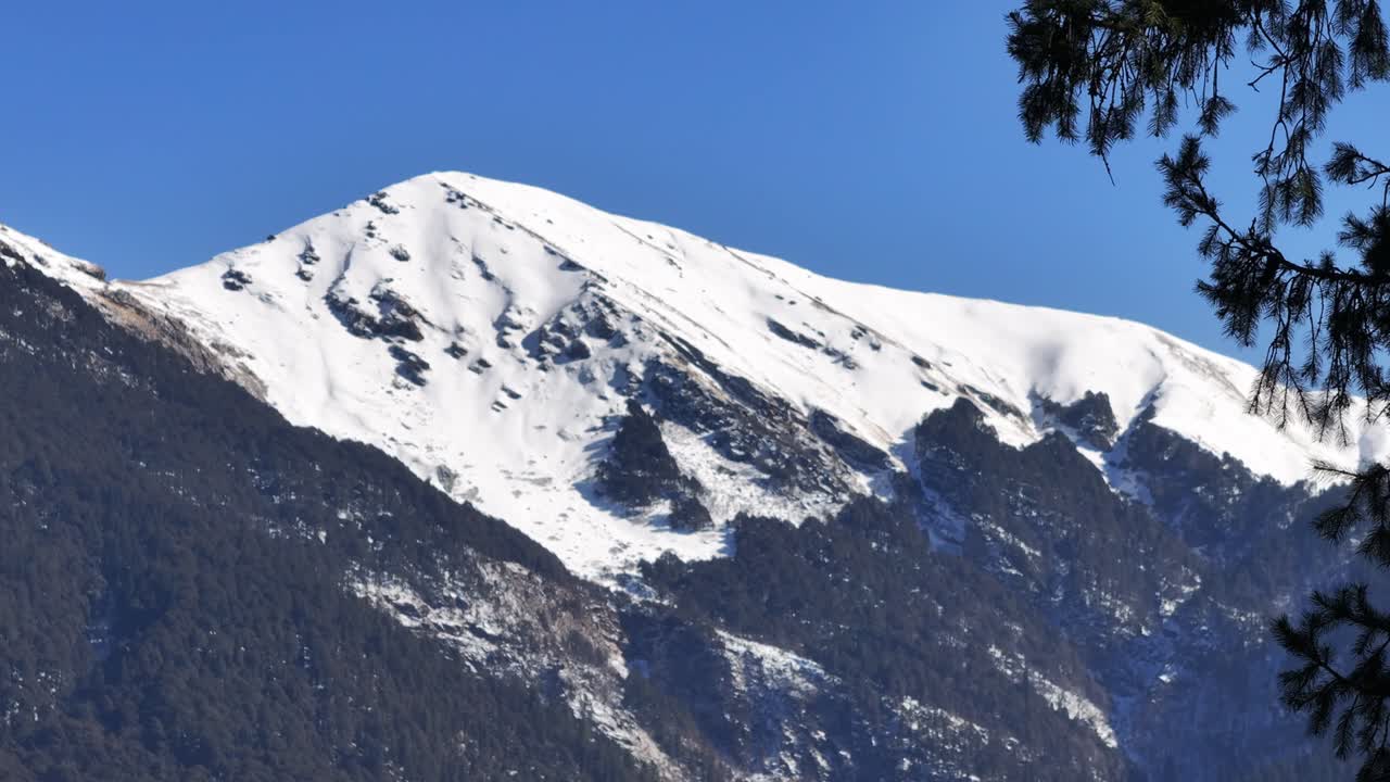Una ripresa cinematografica realizzata con un drone che si muove tra alberi verdi per aprirsi su una maestosa vista di montagne innevate. Perfetta per trasmettere scoperta, transizione e bellezza naturale mozzafiato.