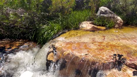 arroyo de montaña de aguas cristalinas pequeña cascada