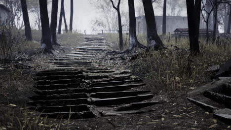 pripyat cityview of exclusion zone near the chernobyl nuclear power plant