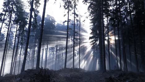 Rayos-De-Sol-Brillando-A-Través-De-Los-árboles-En-Moravia-Silesia-Beskydy-Con-Altos-Picos-Rugientes