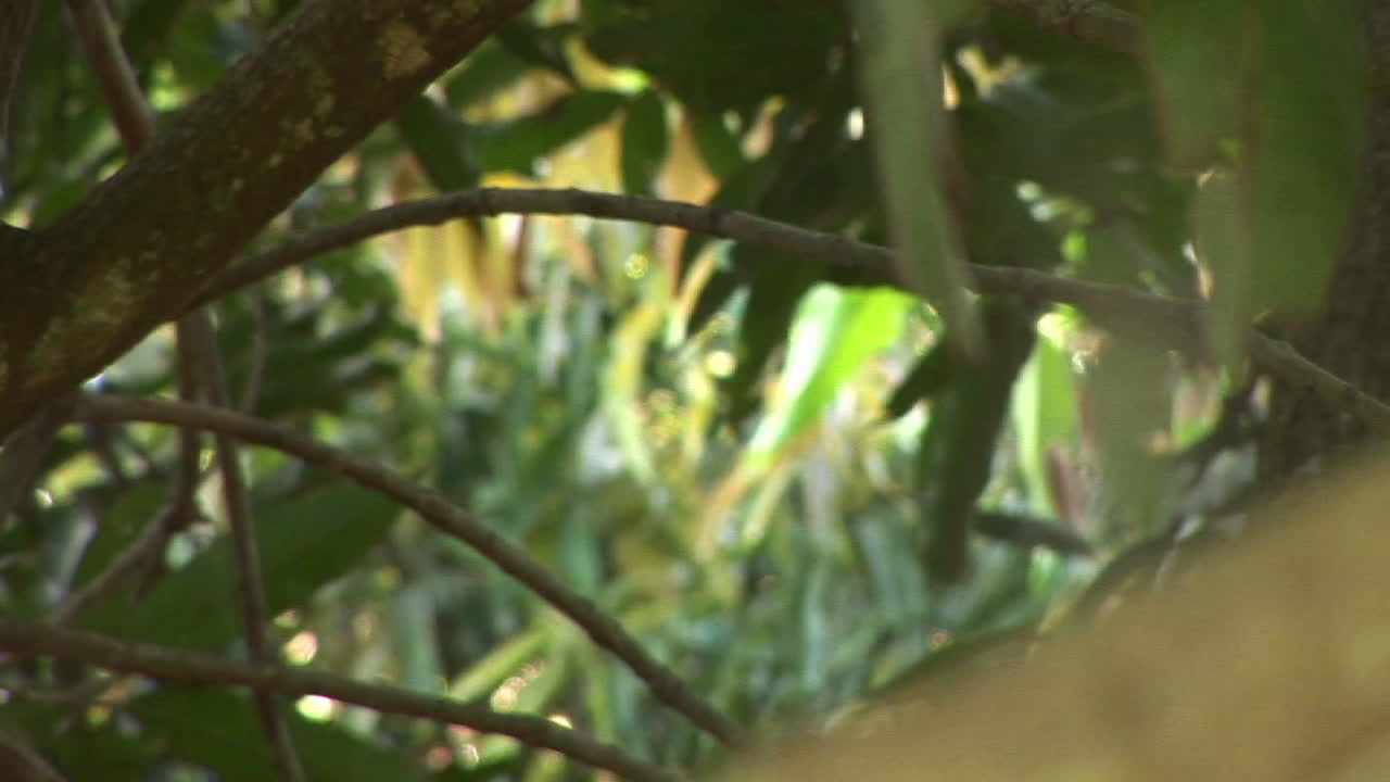 foco de rack de una araña que cuelga en su web