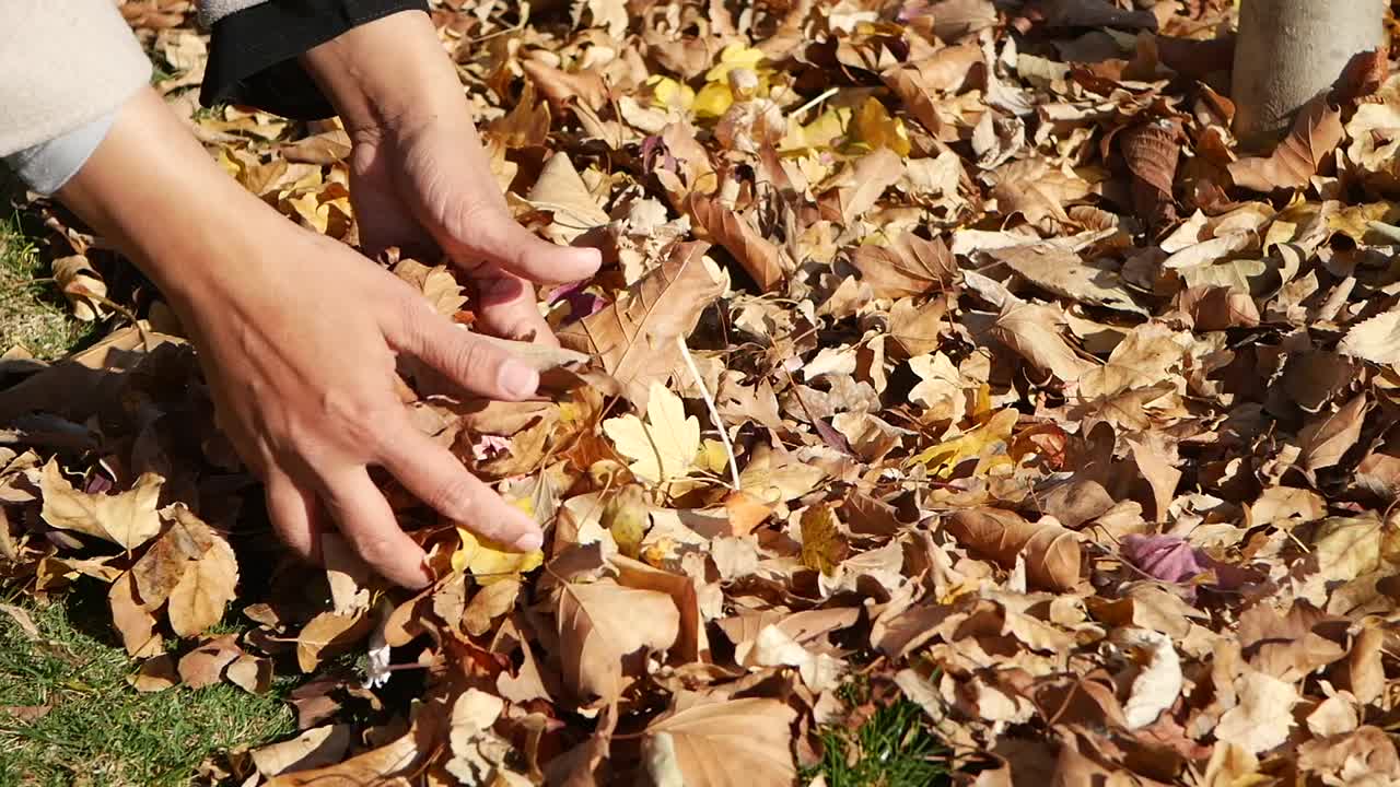 가을 잎 을 모으고 있는 여자