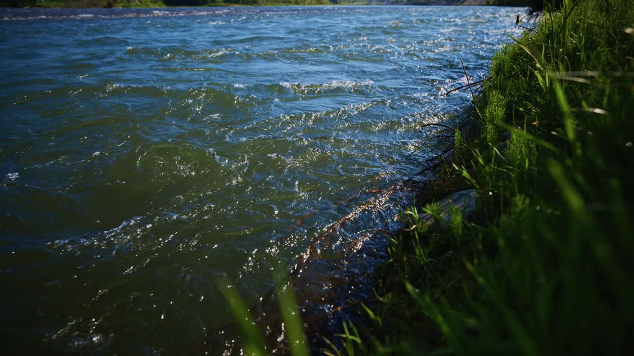 Primo piano di acqua corrente del fiume e erba verde sulla riva