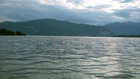 marker buoys floating in lake maggiore at sunset in laveno-mombello, varese, italy