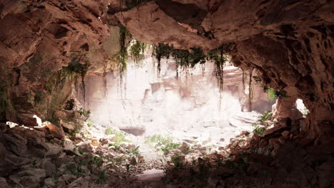 Dentro-De-Una-Cueva-De-Piedra-Caliza-Con-Plantas-Y-Sol