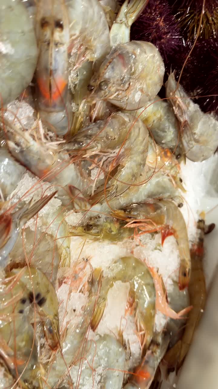 Fresh Seafood Display with Shrimp, Clams, and Sea Urchins on Ice