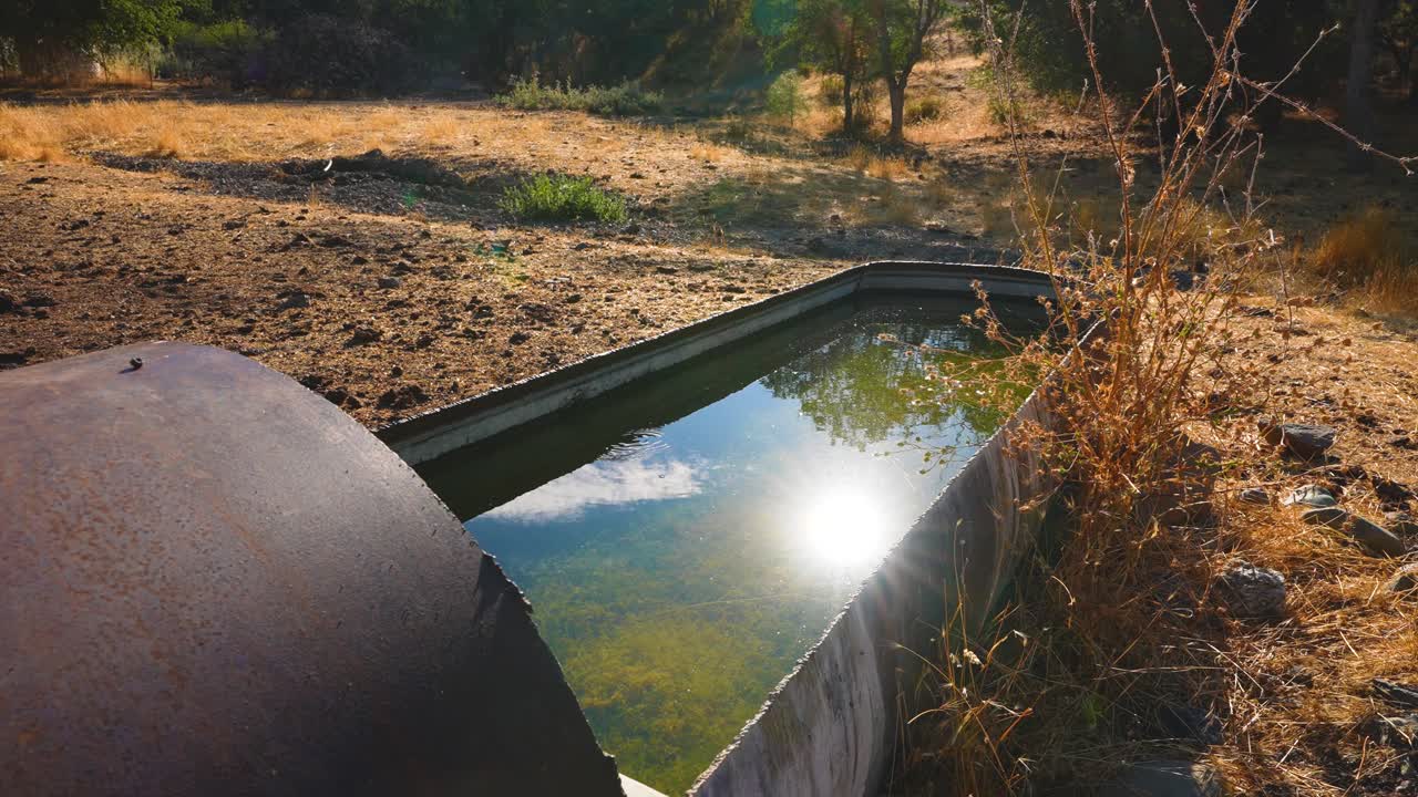 4k rancho de riego para el ganado, la luz del sol se refleja en el agua con nubes