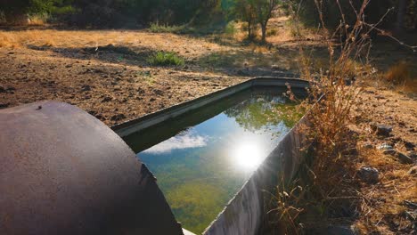 4k ranching watering hole for cattle, sunlight reflecting in water with clouds