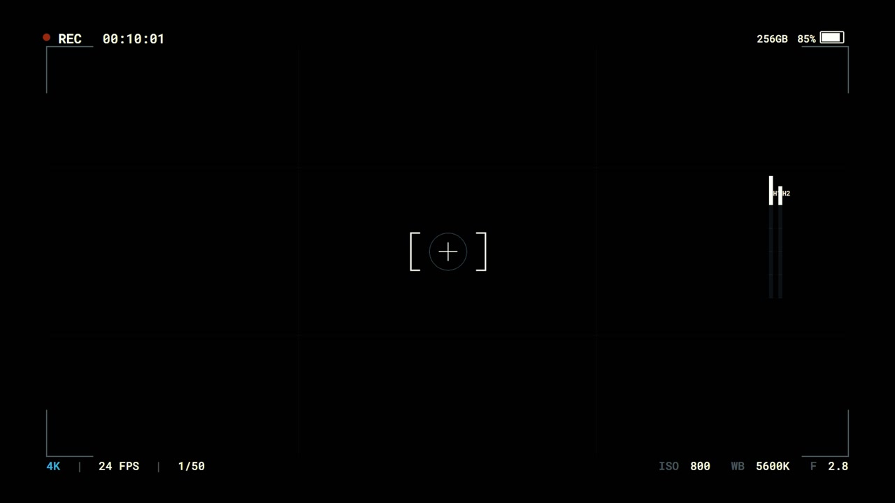 Digital Camera Viewfinder Interface Overlay