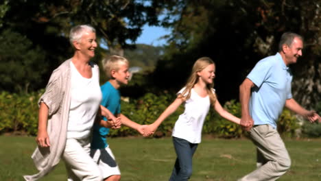 grandchildren and grandparents running hand in hand in a park