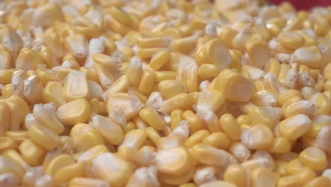 Maize-or-corn-has-become-a-staple-food-in-many-parts-of-the-world