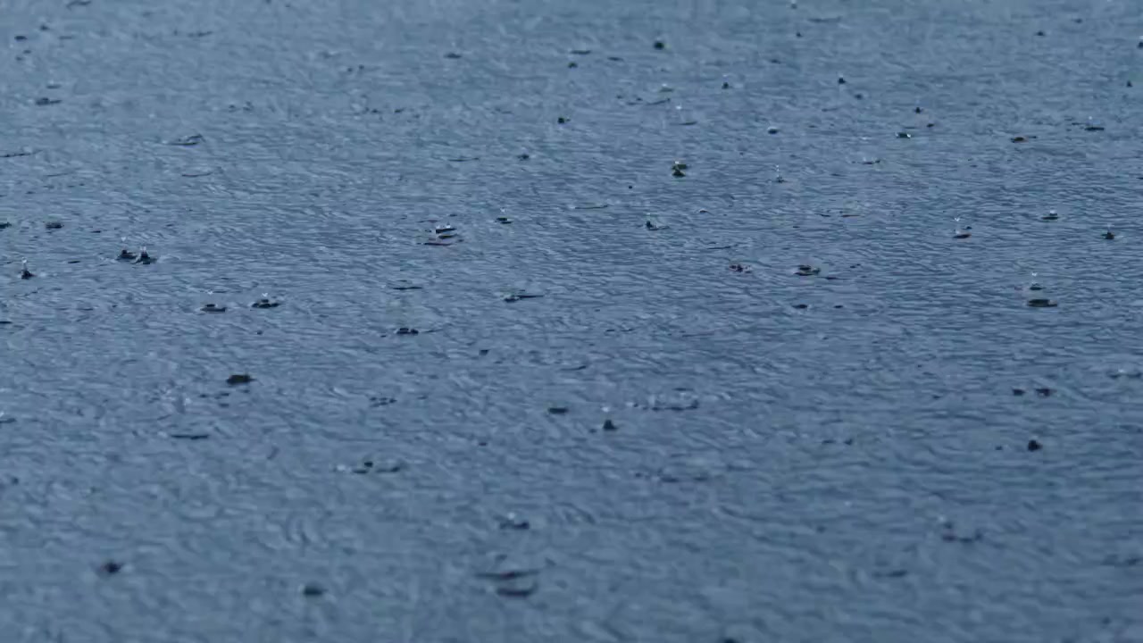Raindrops fall on calm blue water surface. Each drop creates tiny ripples. Soft light reflects gently on wet surface. Ideal for weather, nature, or calming background scenes.