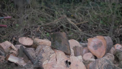 chopping logs in nature 4k