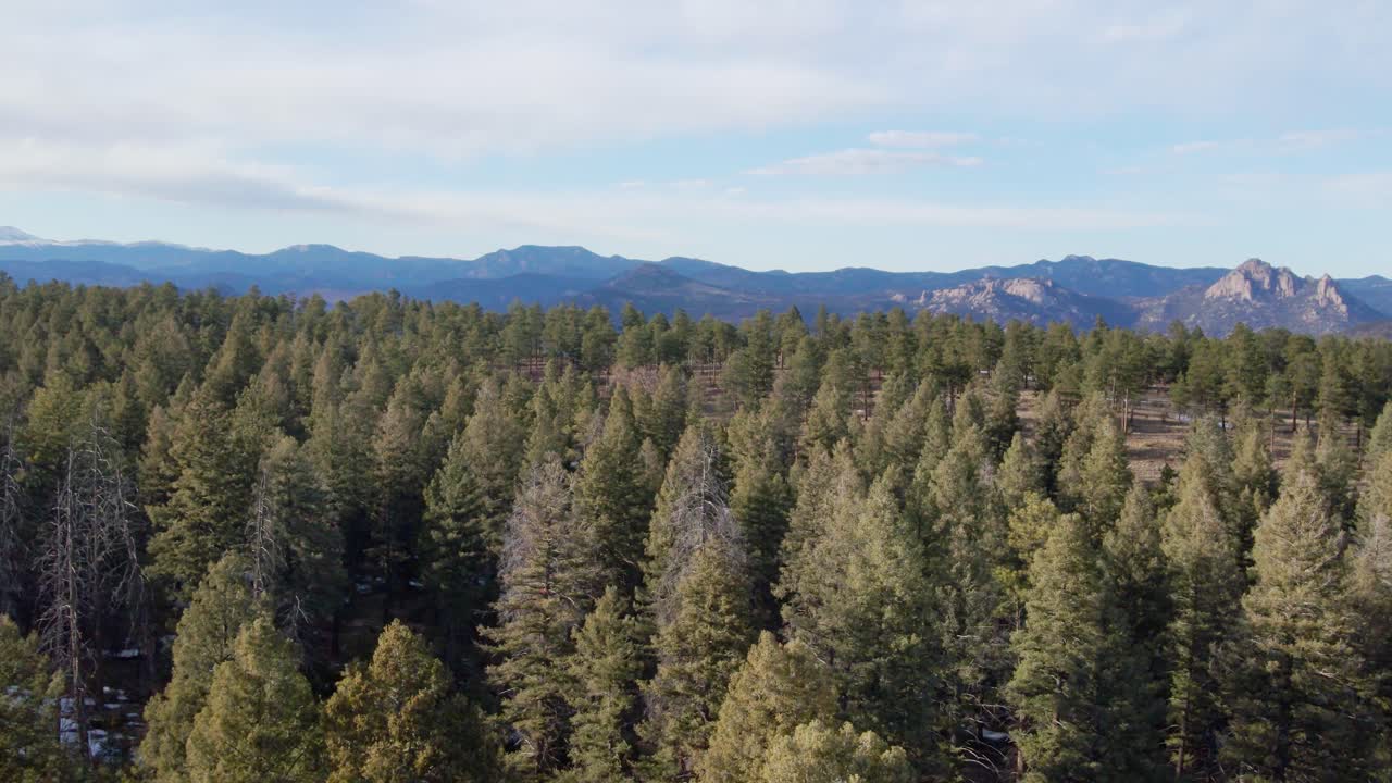 Aerial drone view of the Pike National Forest and distant rocky skyline. Forward dolly movement, just over the tree tops. Filmed in the Rocky Mountains of Colorado.
