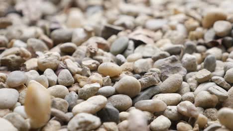 close-up of pebbles