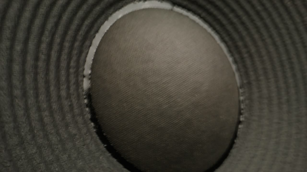 Close-up of a speaker cone
