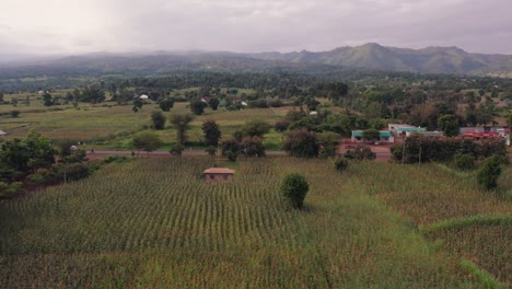 Landscape-of-the-farms-and-road-in-Moshi-Town-in-Tanzania