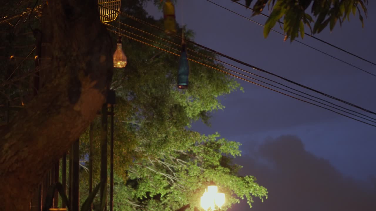 botellas colgando del árbol con farolas y nubes en segundo plano.
