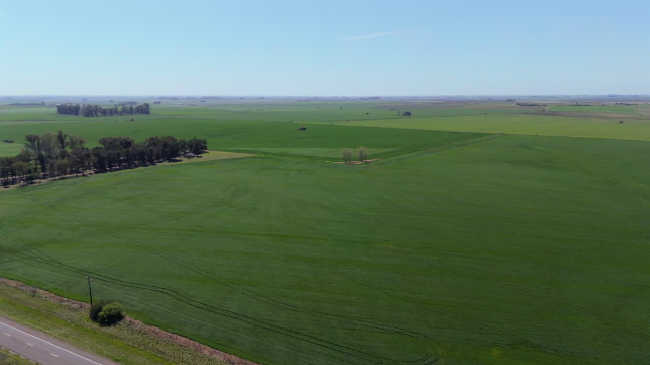 Aerial View of Vast Green Farmland