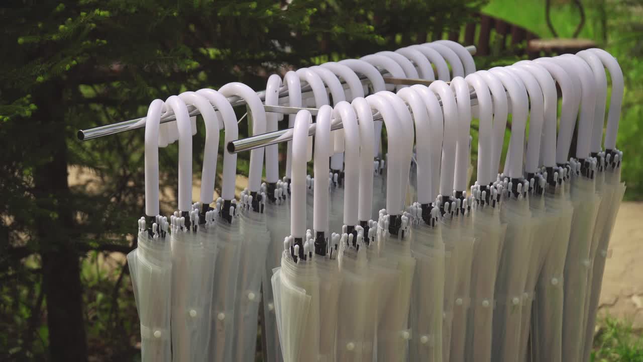 파크에 매달린 접힌 소나무에  우산 03