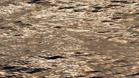 golden glisten of sunlight reflects on the sunrise sea surface. sparkling sunlight over the quick moving water. 4k footage, real time video.