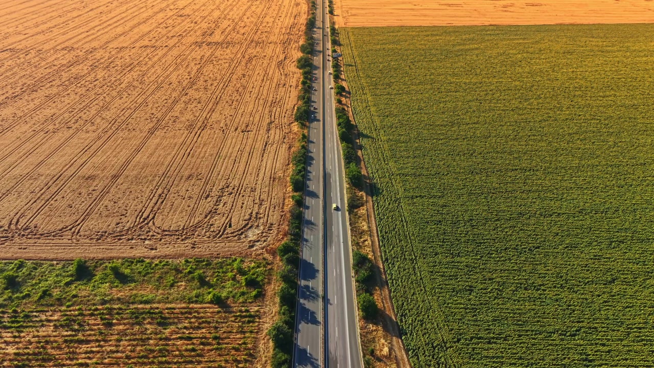 Dos campos se encuentran a lo largo de un camino largo bajo cielos despejados durante el día