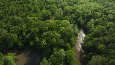 Arroyo-Del-Río-Wolf-Que-Fluye-A-Través-De-Un-Denso-Bosque-Cerca-De-Collierville-En-Tennessee,-EE.UU.