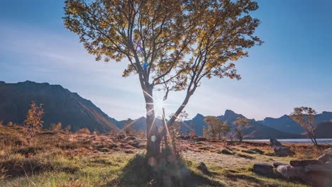 sun passes above the colorful autumn landscape in the valley on the shores of the fjord