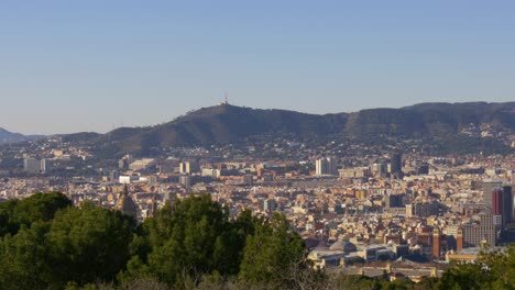 barcelona sun light city panorama royal palace view 4k spain