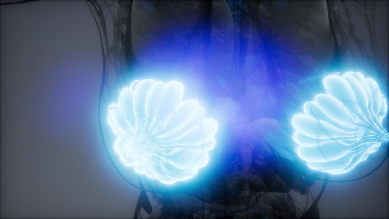 비만 여성의 유방선에 대한 의학적으로 정확한 그림