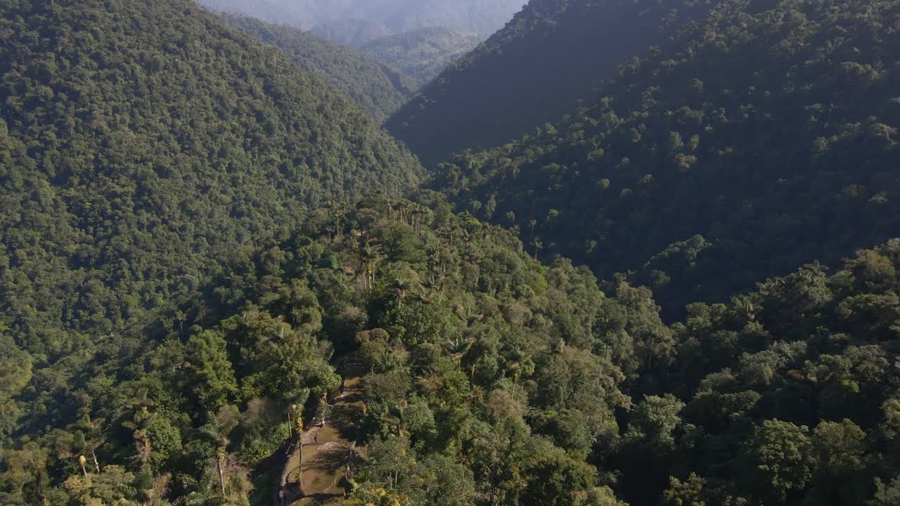 colombia parque nacional santa marta selva tropical húmeda árboles del dosel del valle de la naturaleza