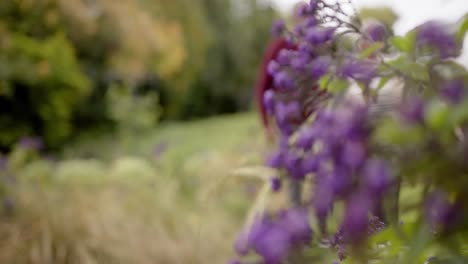 Senior-biracial-couple-holding-hands-and-walking-in-garden,-unaltered,-copy-space,-in-slow-motion