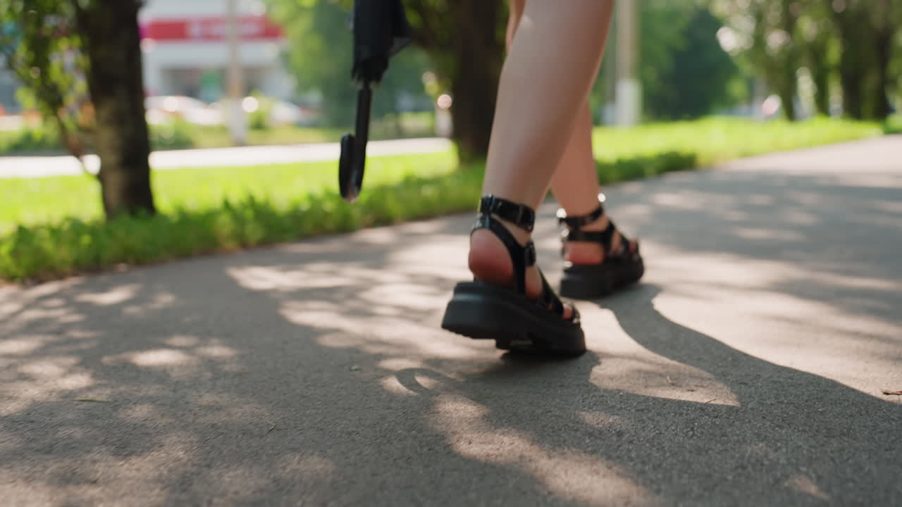 잎이 무성한 그림자 속을 거닐며, 걷는 사람은 잎이 무성한 덮개 그림자 아래에서 조심스럽게 움직입니다. 외로운 형체가 무성한 잎과 고요한 분위기로 둘러싸인 햇빛이 얼룩진 길을 따라 부드럽게 나아갑니다.