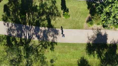 Drone-Aéreo-Sobre-Un-Hombre-Que-Trota-Con-Sombras-De-árboles-En-Un-Día-Soleado,-4k