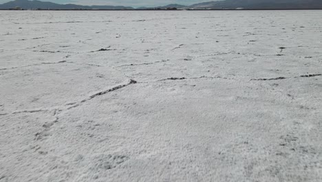 Empuje-De-Drones-Aéreos-En-Tiro-Cerca-Del-Suelo-En-El-Argentino