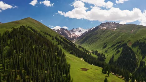 praderas de nalati y montañas nevadas en un buen día.