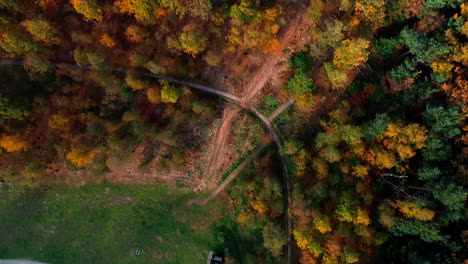 top view of the changing colors of the deciduous forest during autumn season in holland