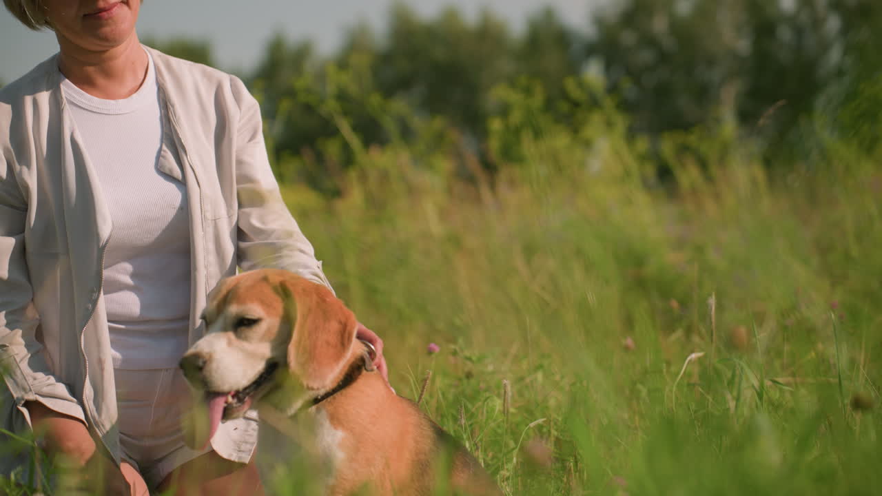 mujer con correa de perro sonriendo mientras mira a su mascota mientras el perro mira a su alrededor con curiosidad, el sol brilla brillantemente en el campo de hierba rodeado de vegetación, árboles en el fondo