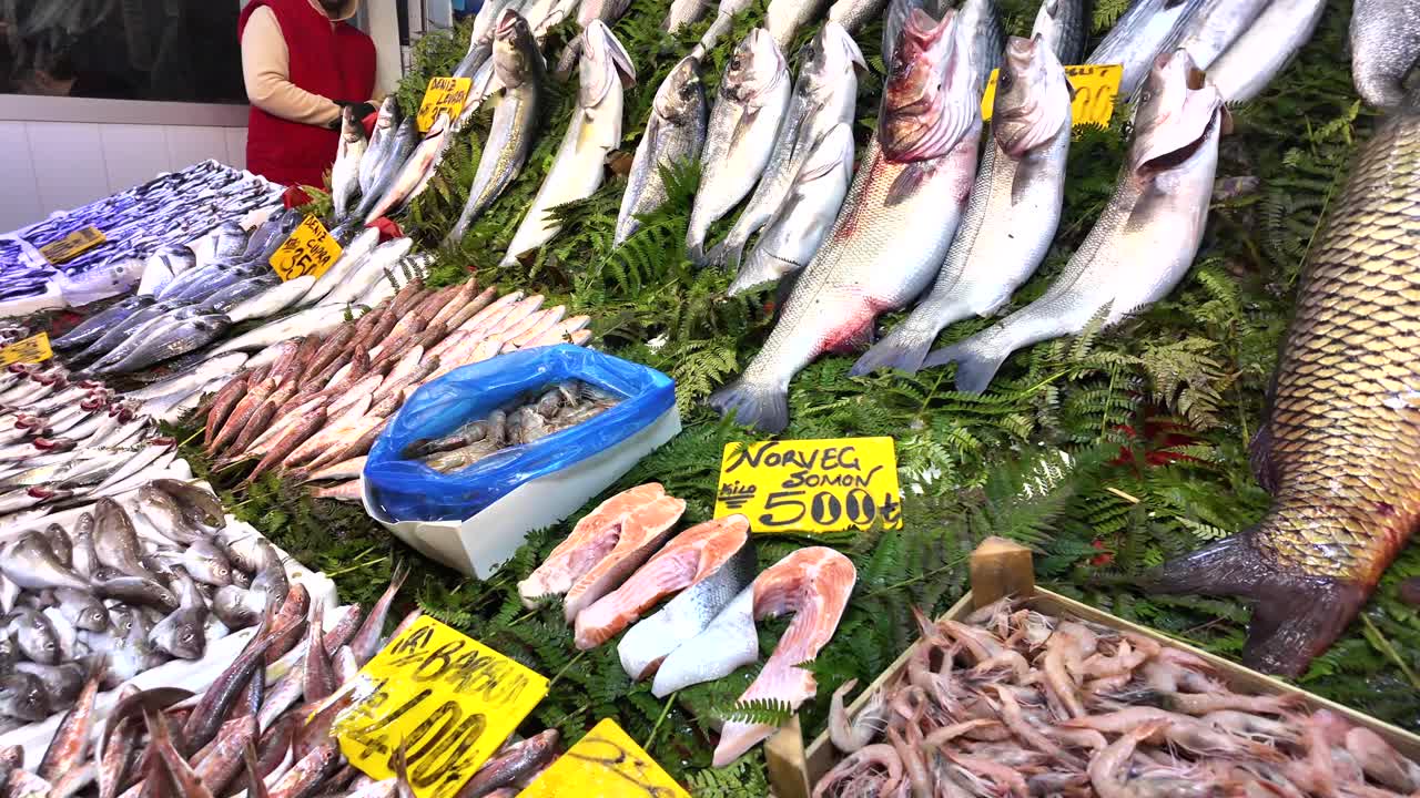 puesto de mercado de pescado fresco con varios tipos de pescado y mariscos