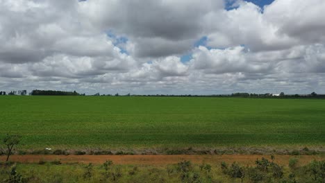 huge field of soybeans planted on deforested land in the brazilian savannah - pull back aerial view