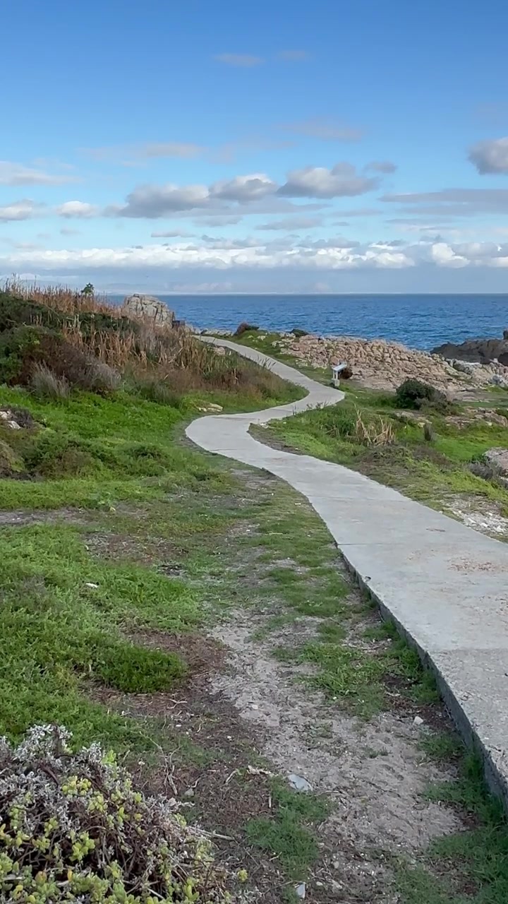 Sentiero costiero che si snoda attraverso un terreno roccioso lungo l'oceano a Hermanus, in Sudafrica.