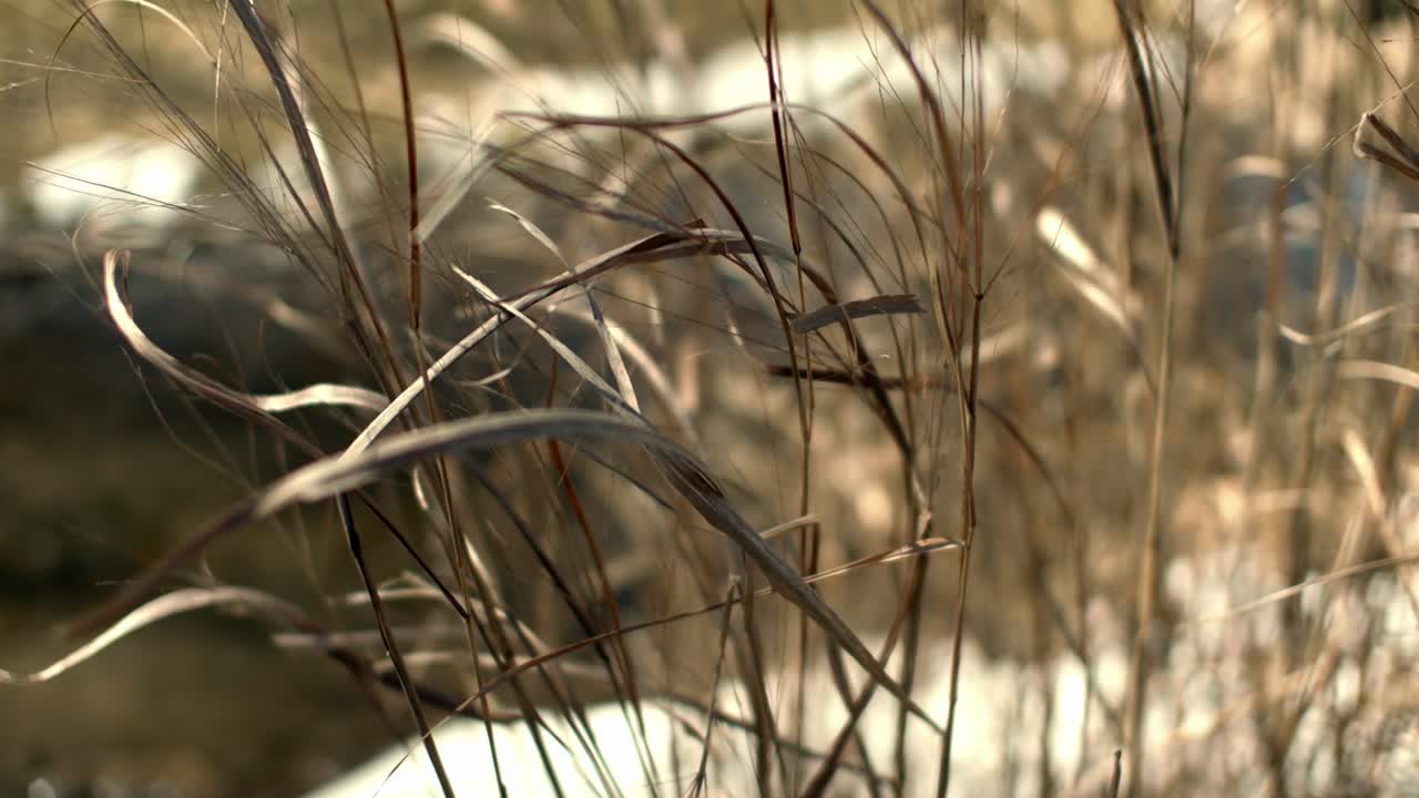 가벼운 바람이 부는 가을의 조용하고 평화로운 시내