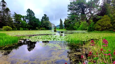 Powerscourt-Gardens-Brunnen-Schwan-Und-üppiges-Grün-Im-Garten-Irlands-Beliebtes-Touristenziel