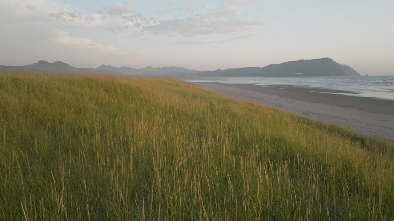 Grassland plains on sloping sandy dune stretches out to open ocean, static natural backdrop