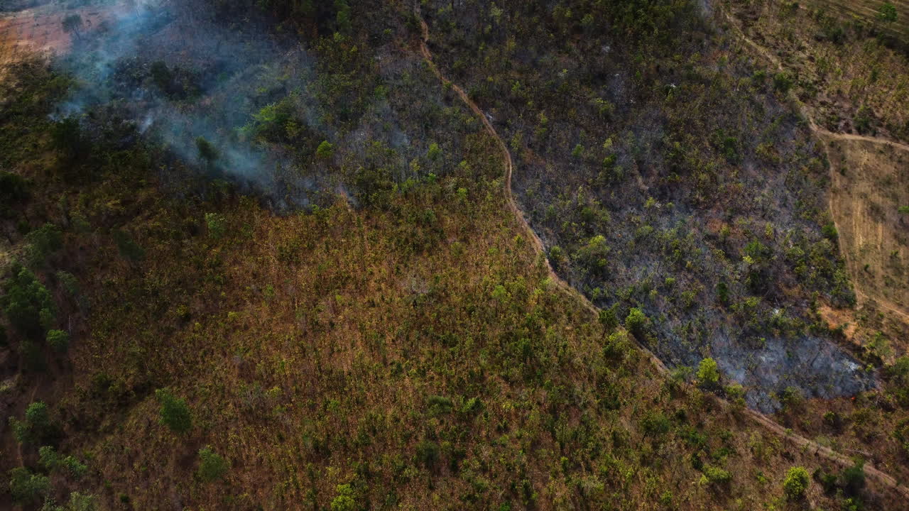 vuelo aéreo hacia adelante sobre un terreno con vegetación quemada después de un incendio forestal