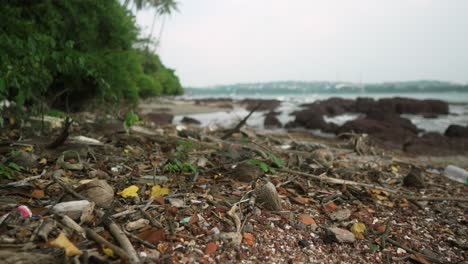 Una-Vista-Detallada-De-Una-Costa-Cubierta-De-Desechos-Naturales,-Incluidos-Madera-Flotante,-Hojas-Y-Rocas