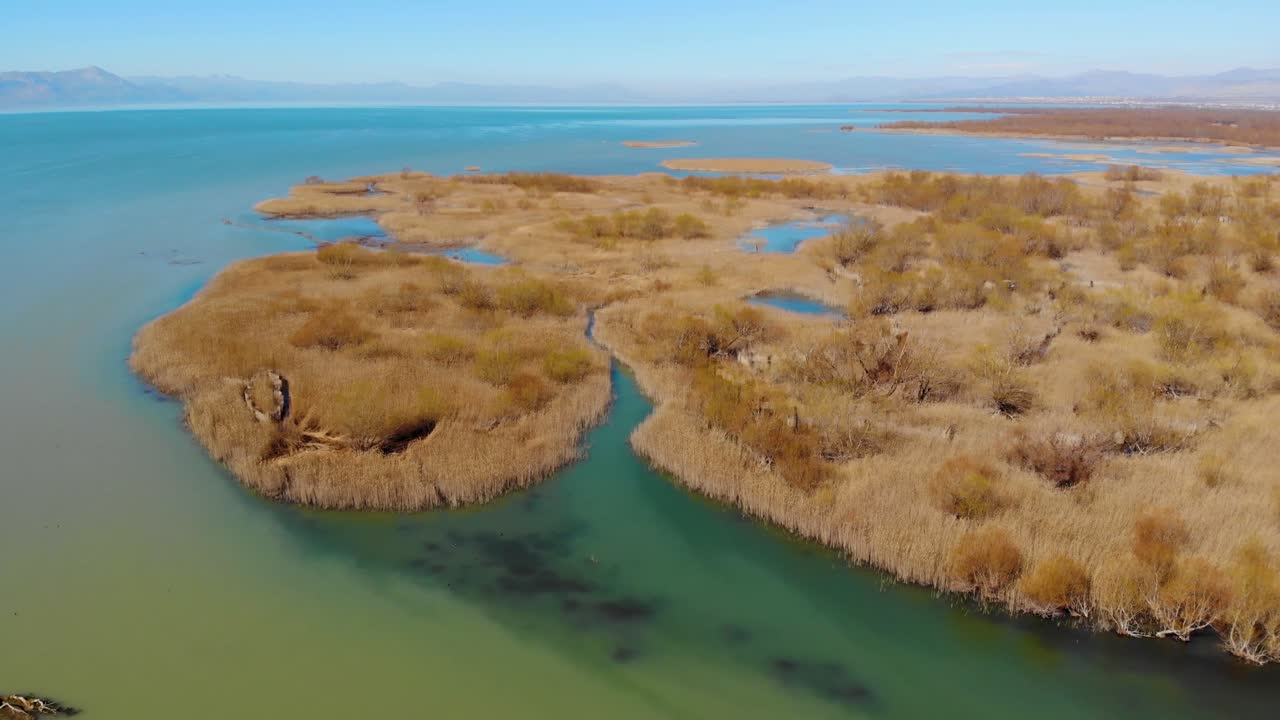 hábitat natural para aves migratorias con lagunas poco profundas vírgenes lavando cañas secas en la orilla del lago con agua clara
